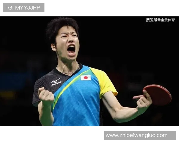 西安网球队防反战术创新探索与实践分析全景报道