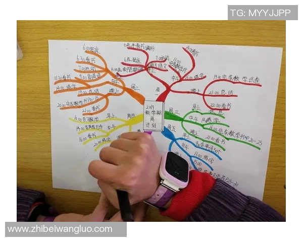 陈伟乒乓球人生的深度对话与成长历程探讨