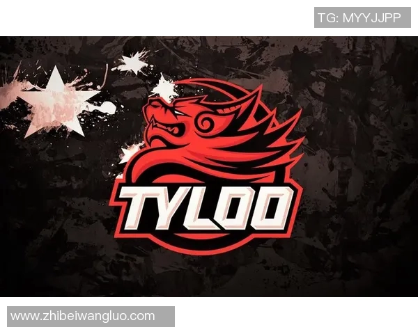 CSGO战术解析JDG战队如何构建高效阵地战体系与应对策略