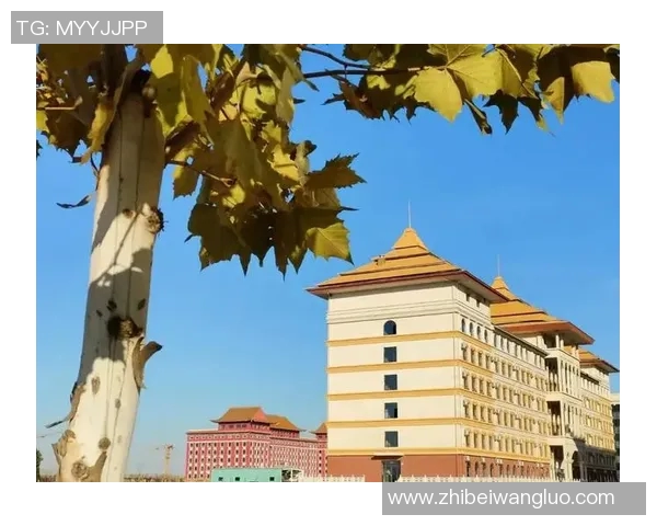 上海羽毛球队挑战赛特别报道:从默默无闻到辉煌成就的成长之路